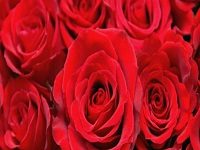 OUR STAND ON VALENTINE’S DAY