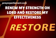 RENEW MY STRENGTH OH LORD AND RESTORE MY EFFECTIVENESS