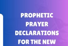 PROPHETIC PRAYER DECLARATIONS FOR THE NEW YEAR