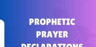 PROPHETIC PRAYER DECLARATIONS FOR THE NEW YEAR