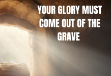 YOUR GLORY MUST COME OUT OF THE GRAVE IN JESUS NAME